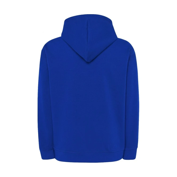 Bluza z kapturem JHK SWRA KNG chabrowa – tył