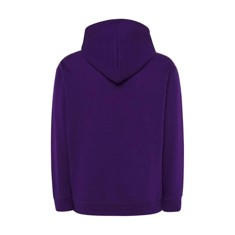 Bluza z kapturem JHK SWRA KNG fioletowa – tył