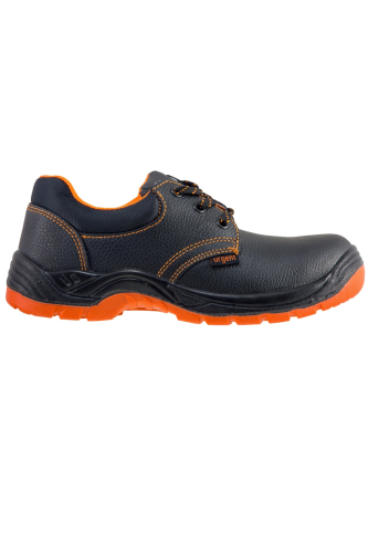 240 PAR (34).png